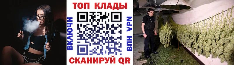 Все наркотики Светлоград Alpha-PVP  ГАШИШ  Бутират  Канабис  Псилоцибиновые грибы 