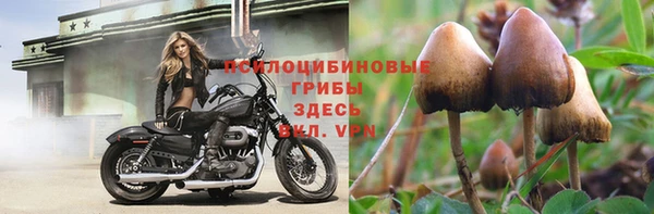 герыч Алексин
