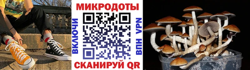 MEGA ССЫЛКА  Светлоград  Псилоцибиновые грибы прущие грибы 